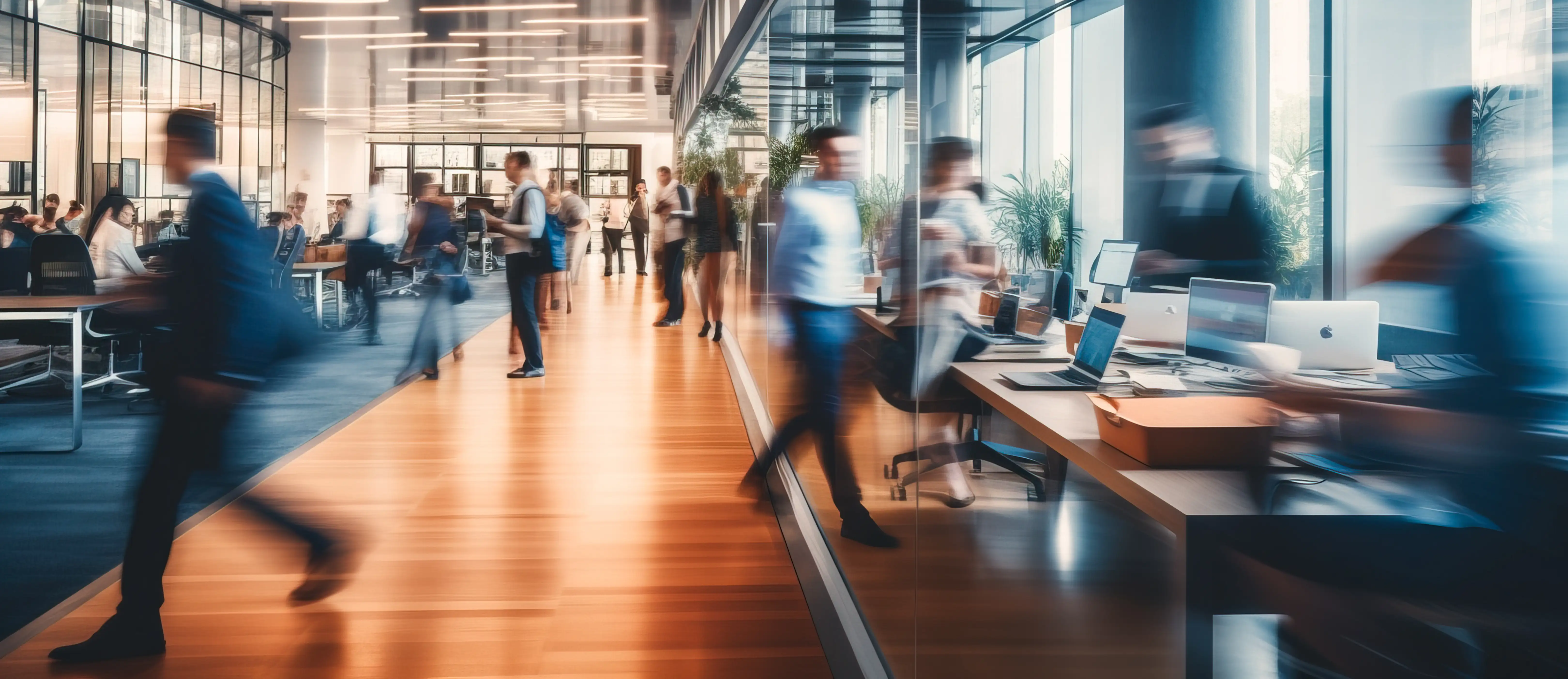 Decorative background for Contact Information section